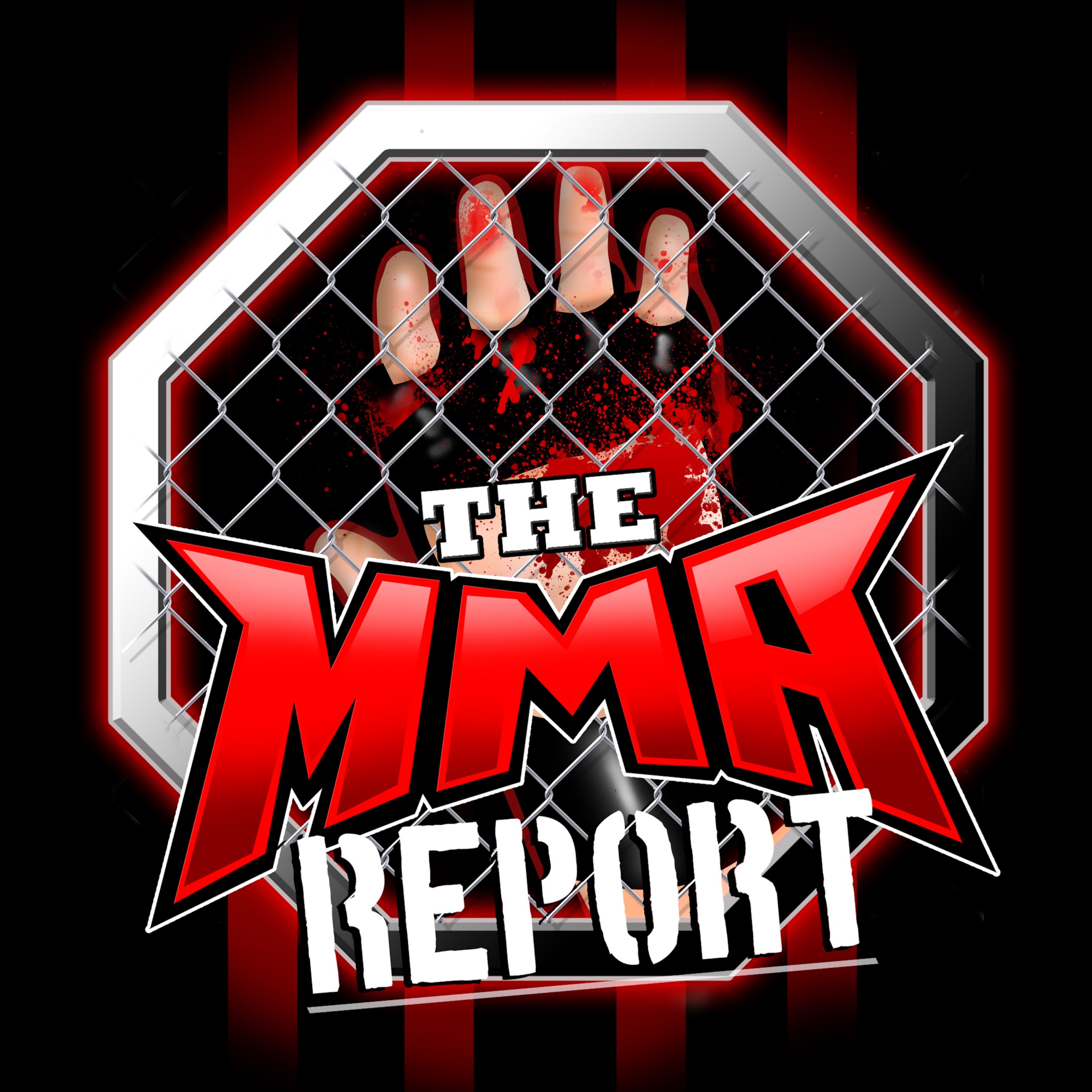 The MMA Report: How Did People React to UFC 289?