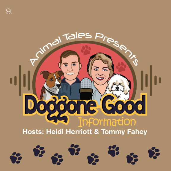 Doggone Good Information EPISODE 26: All In The Family – Dog Training